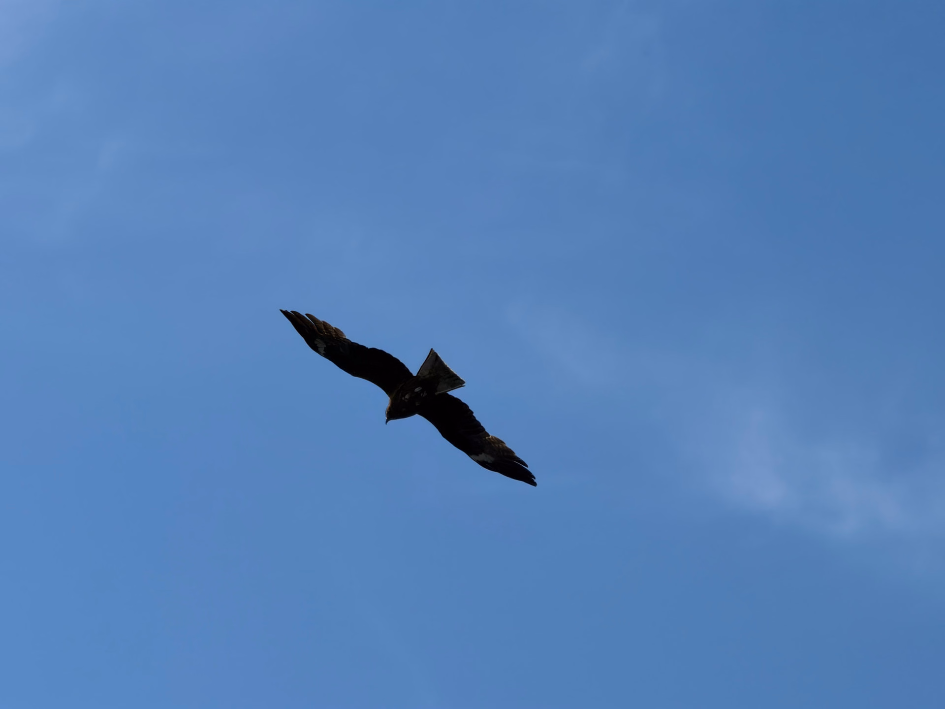 IMG_0748|666x500