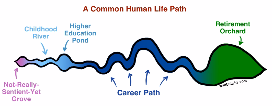 Life-path|690x269