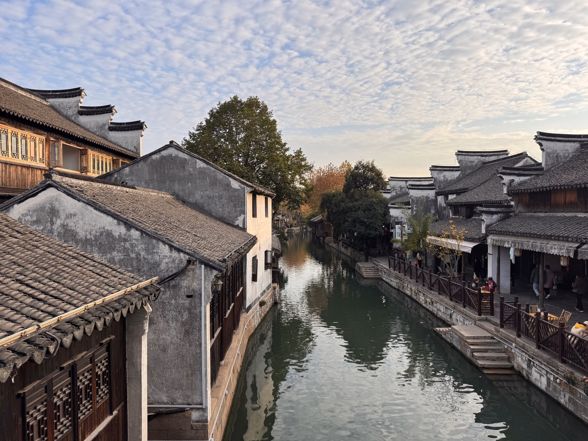 IMG_5730|666x500