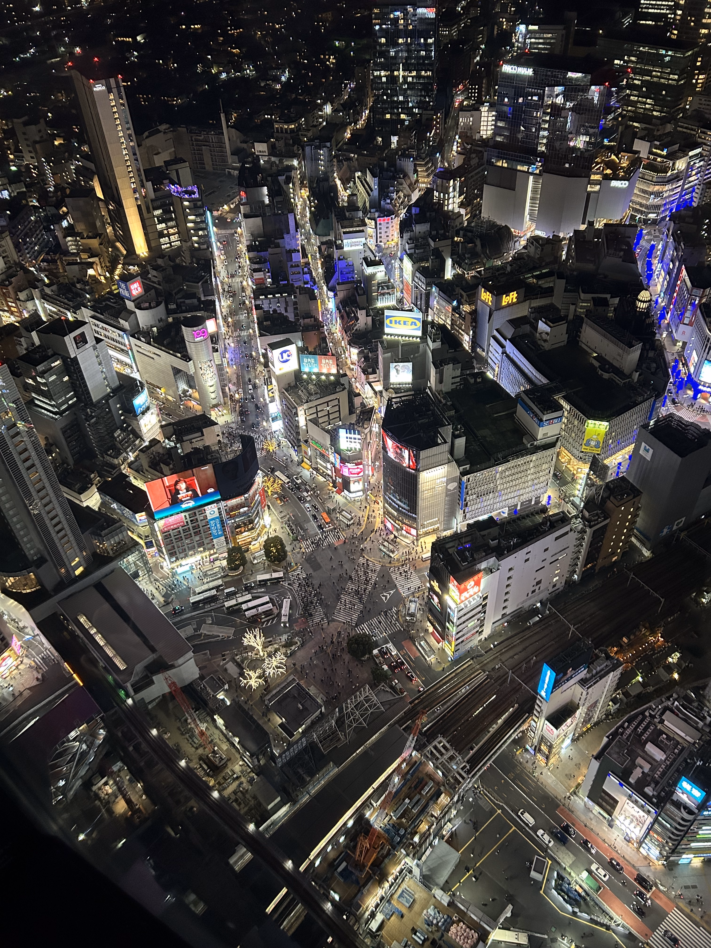 IMG_4733|375x500