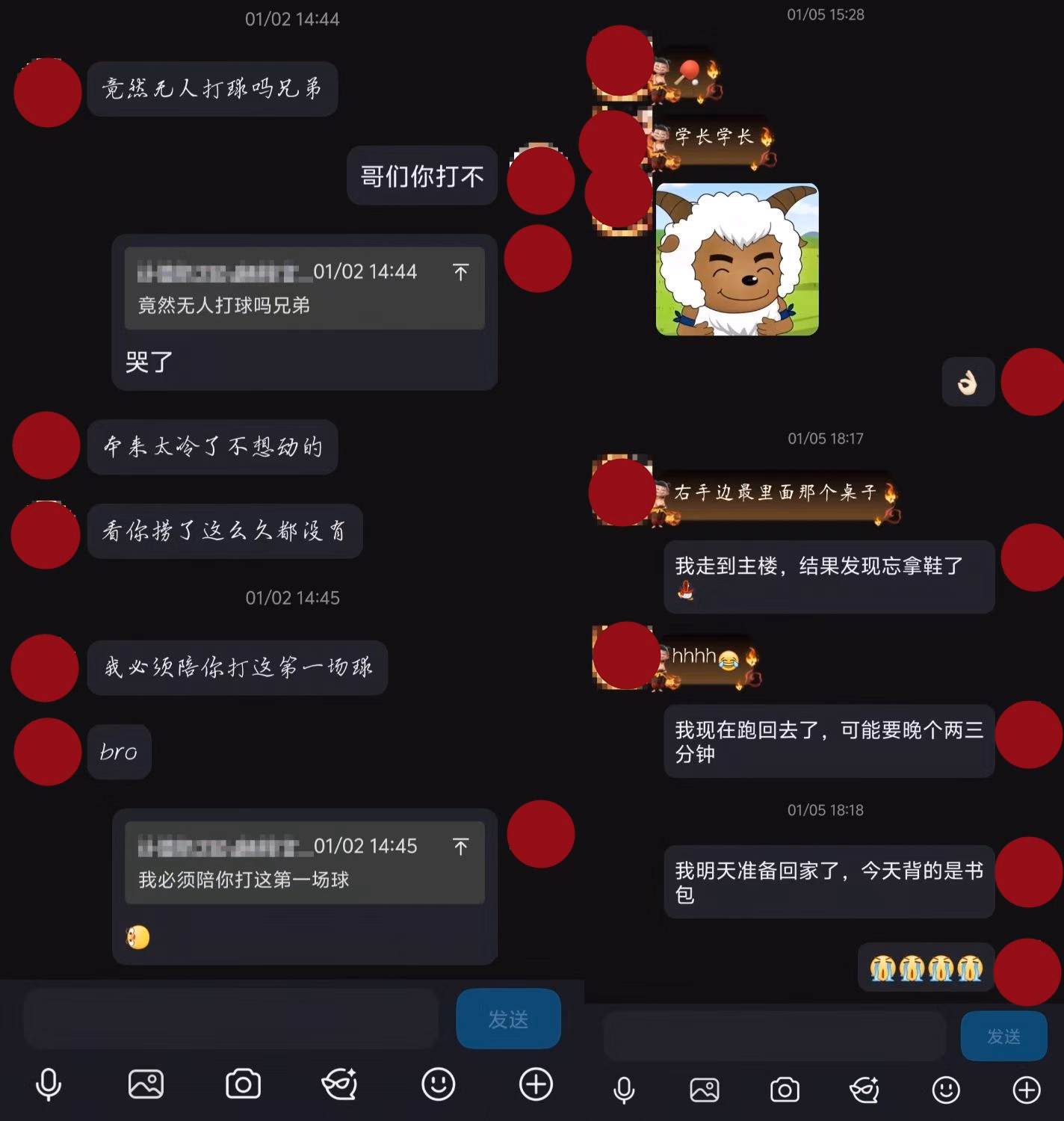 微信图片_2026-06-17_235142_177|474x500