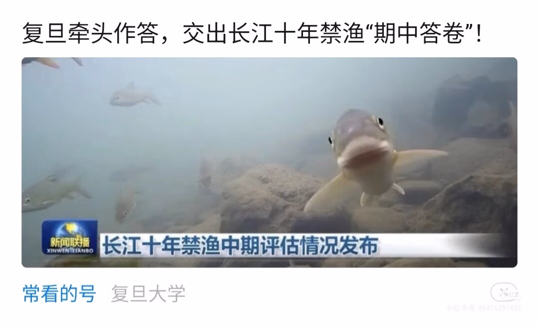 Camera_1040g3k831s71vtkeledg5pp9mrg21c2kb79p0a8|690x417