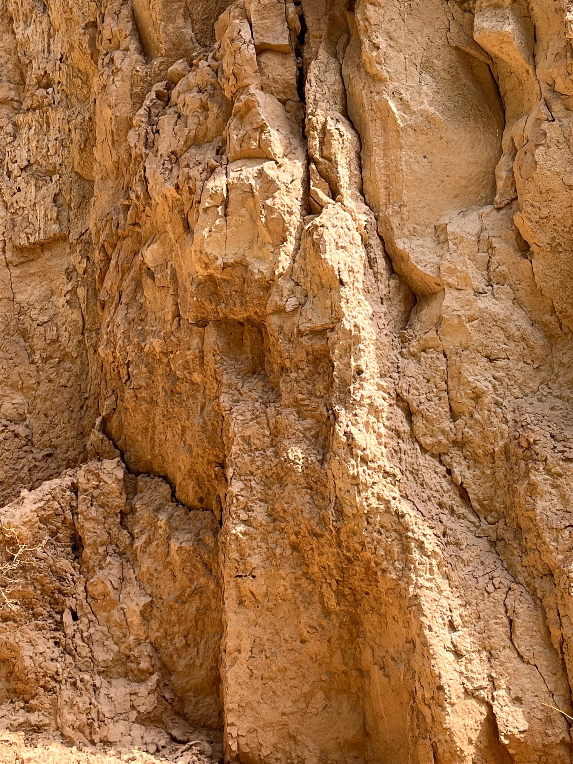 IMG_1931|375x500