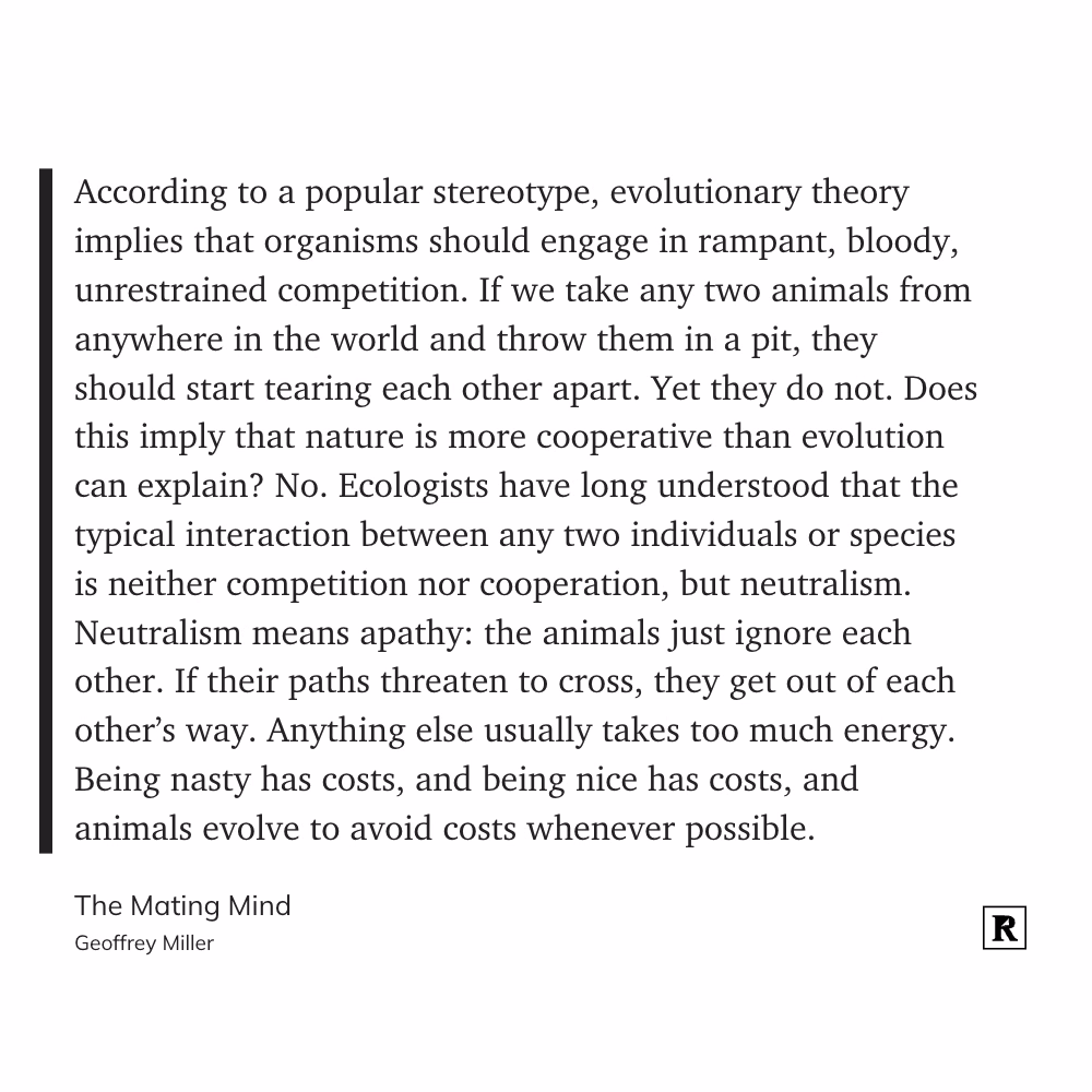 image|500x500