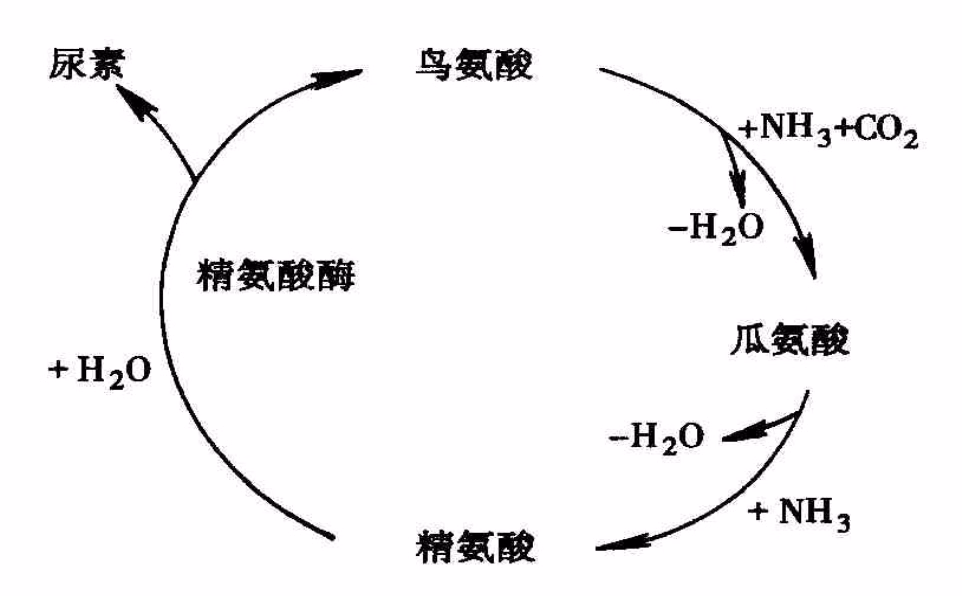 nh2_c|690x427