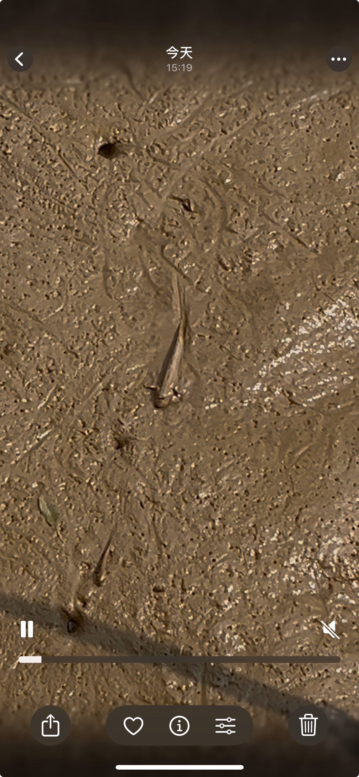 image|231x500