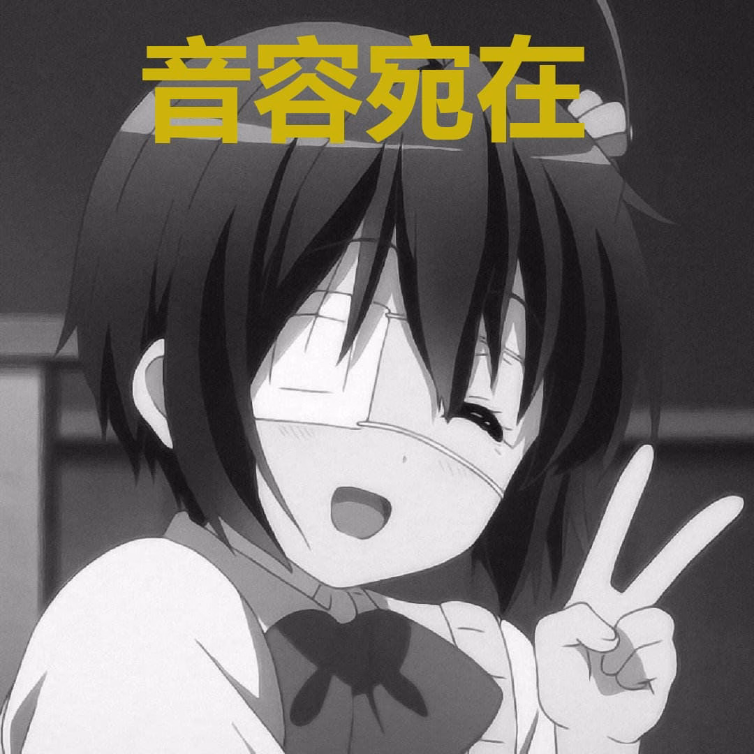 ca54fd1ba562cc3b469a8bda8b22f5ba|500x500